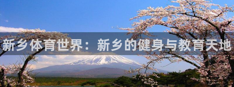 德国vsport体育官方正版app集团：新乡体育世界