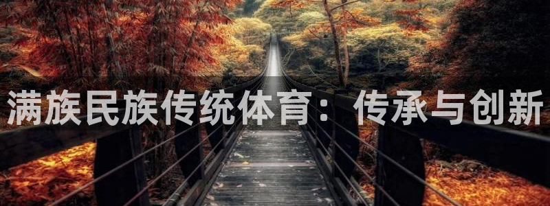 vsport体育官网下载平台注册流程图