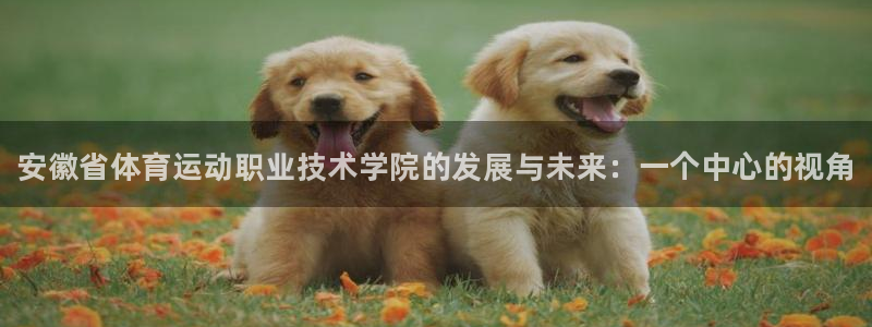 vsport体育官网下载招商电话号码是多少啊
