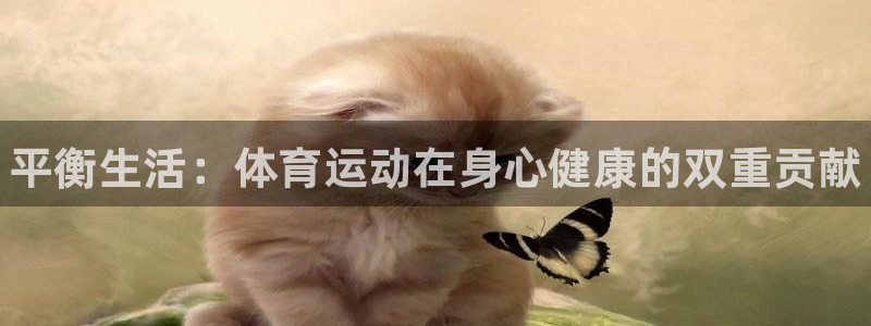 vsport体育官网下载招商电话地址：平衡生活：体育