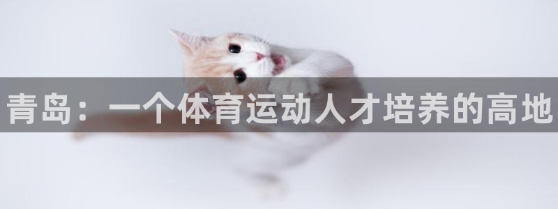 vsport体育官网下载招商电话号码查询是多少：青岛