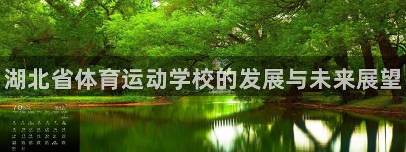 vsport体育官网下载是干嘛的公司：湖北省体育运动