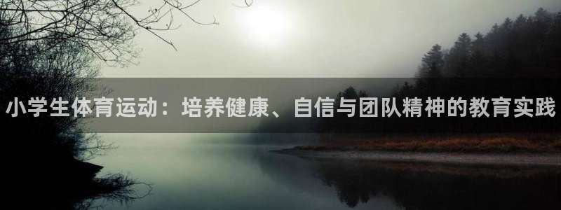 vsport体育官网下载注册：小学生体育运动：培养健