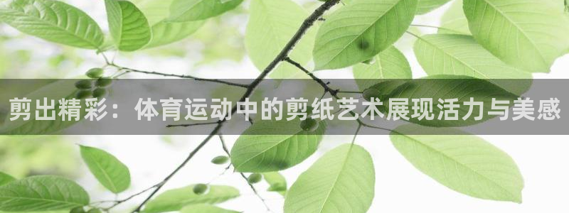 vsport体育官方正版app集团官网首页：剪出精彩