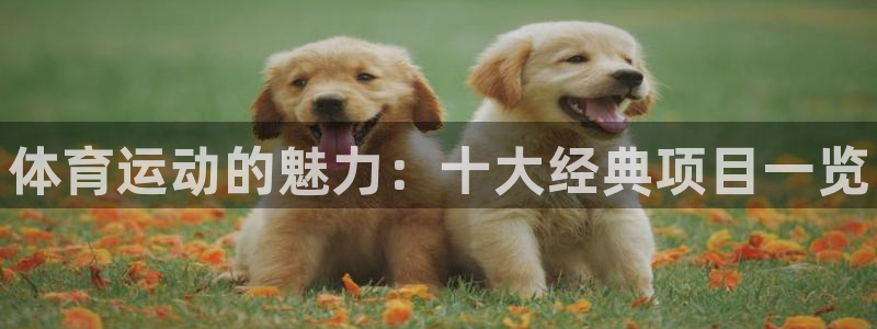vsport体育官方正版app娱乐首页官网下载：体育