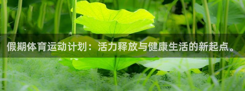 vsport体育官网下载招商电话号码：假期体育运动计划：活力