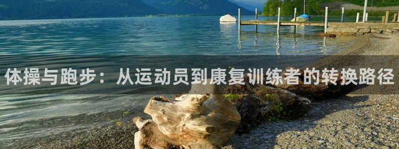 vsport体育官网下载平台APP