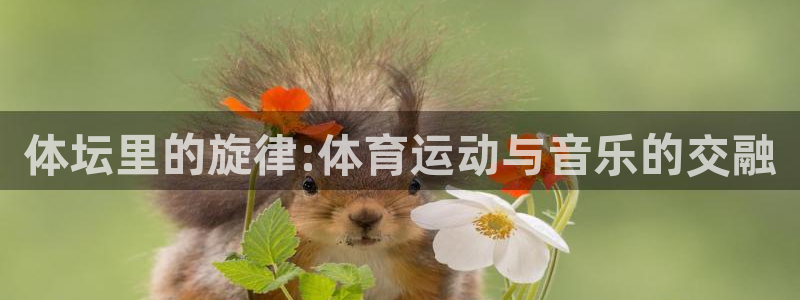 vsport体育官方正版app娱乐首页官网下载：体坛里的旋律