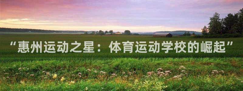 vsport体育官方正版app集团