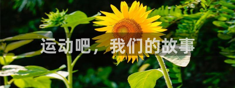 vsport体育官方正版app集团E.ON：运动吧，