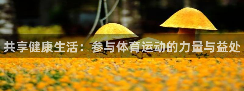 vsport体育官方集团官网：共享健康生活：参与体育运动的力