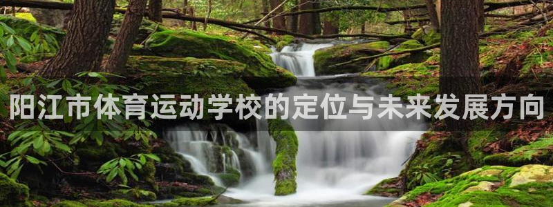 vsport体育官网下载平台是正规平台吗知乎：阳江市体育运动