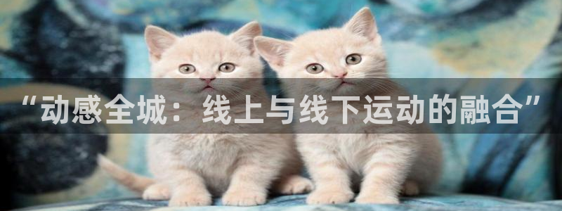 vsport体育官网下载平台：“动感全城：线上与线下运动的融
