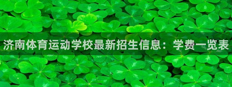 vsport体育官方正版app娱乐平台：济南体育运动