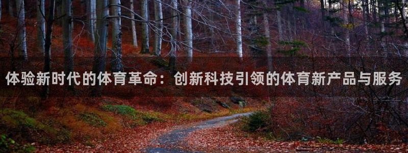 vsport体育官网下载