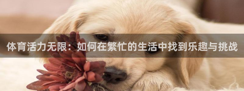 vsport体育阿根廷：体育活力无限：如何在繁忙的生活中找到