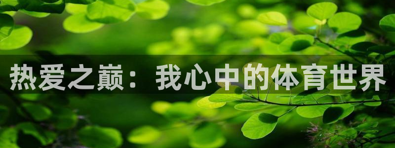  Vsport体育官方网站入口：热爱之巅：我心中的体育世界