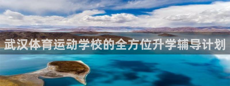 vsport体育平台app：武汉体育运动学校的全方位升学辅导
