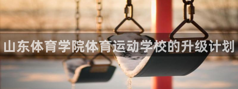 vsport体育平台app：山东体育学院体育运动学校的升级计