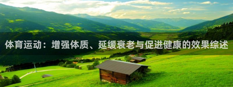 Vsport体育官方网站入口：体育运