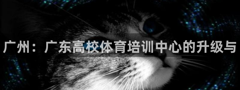 vsport体育官网