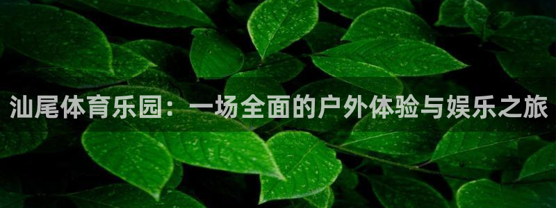 Vsport体育官方网站入口